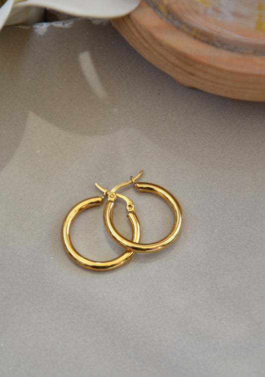 Classic Gold Hoop Earrings